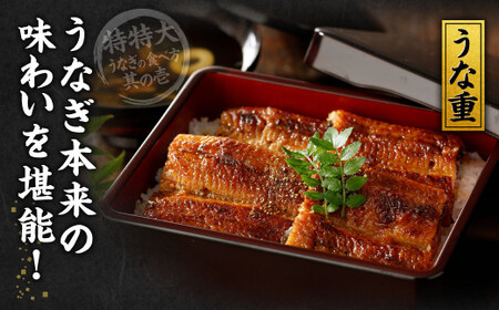 九州産 うなぎ蒲焼 特特大4尾 (1尾あたり250～266g) 合計：1kg以上【2026年5月発送】