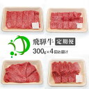 【ふるさと納税】《定期便》飛騨牛 4回お届け 4ヶ月 焼肉 すき焼き しゃぶしゃぶ ミニステーキ 300g 5等級 飛騨市産 定期便 お楽しみ[Q602]