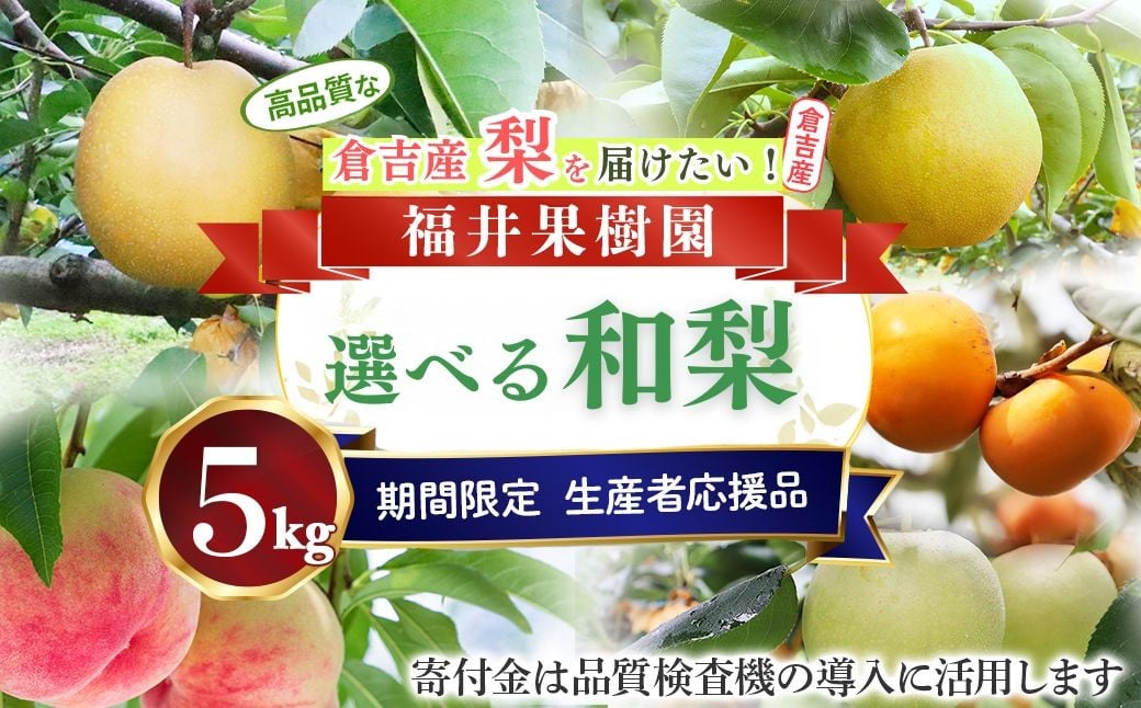 
                  【期間限定】【生産者応援品】令和8年産 選べる和梨！5kg 二十世紀梨 王秋 晩三吉 あたご梨 福井果樹園 倉吉産 梨 ナシ ブランド梨 果物 フルーツ 和梨 寄付金用途指定
                