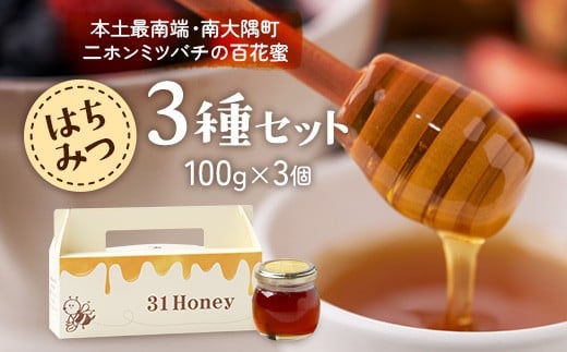 
            【数量限定】日本みつばち蜂蜜 31Honey（サーティーワン ハニー） ハチミツ3種セット（100g×3個）｜はちみつ 日本みつばち 養蜂 百花蜜 瓶詰 産地直送 常温 鹿児島県 南大隅町 南大隅町日本みつばち研究会　MM-1
          