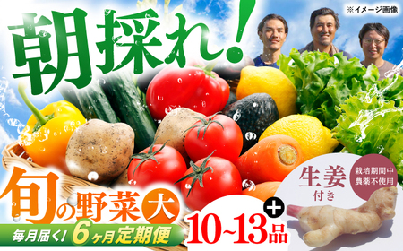 【6回定期便】 土佐の太陽をいっぱいに浴びた旬の野菜と生姜約100gのセット「大」 (6回配送)【土佐野菜】 [ATBA015]