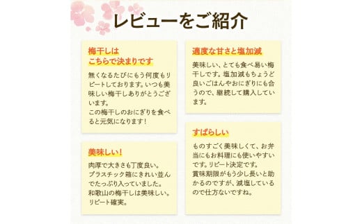 紀州南高梅　村っ子梅（塩分約8％）1.1kg ×2 はちみつ梅干し / 和歌山 梅干し 田辺市 紀州南高梅 南高梅 梅干 梅 うめ 肉厚 お米 おにぎり 焼酎 梅酒 健康 はちみつ入り 減塩 塩分控え