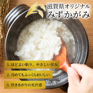 お米 みずかがみ 10kg BG無洗米 10ヶ月 お米