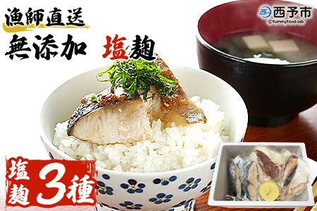 ＜漁師直送 保存料無添加 塩麹 3種セット＞※1か月以内に順次出荷 魚 詰め合わせ 海鮮 海産物 海鮮セット ハマチ 鯛 サワラ 二ノ宮商事株式会社 愛媛県 西予市 【冷凍】 ANS0005
