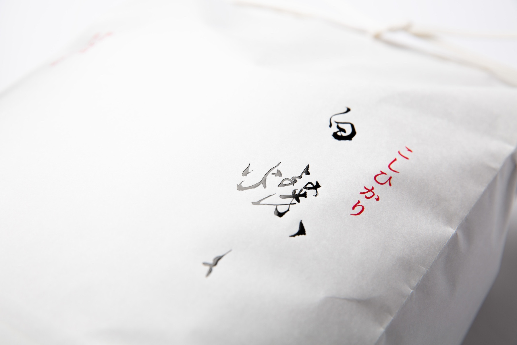 【令和7年産新米】南魚沼君沢産こしひかり 白燦々5kg（BL品種）