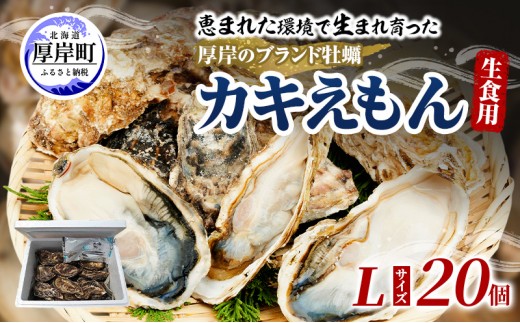 
                  牡蠣 厚岸のブランド牡蠣 生食用 カキえもん Lサイズ 20個 [ 魚貝類 海鮮 海のミルク 国産 生食用殻付き牡蠣 まろやか クリーミー 食べやすい品種 海の香り 牡蠣の酒蒸し 焼き牡蠣 ][№5863-1456]
                
