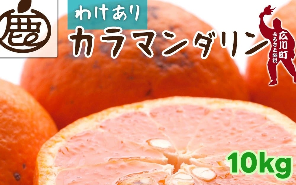 
            カラマンダリン 10kg+250g （痛み補償分） 家庭用 / カラ カラオレンジ カラみかん 南津海 なつみ 訳あり 和歌山 有田 柑橘 晩柑 ※4月上旬〜5月順次発送 ※北海道・沖縄・離島への配送不可 【ikd015-c-10】
          