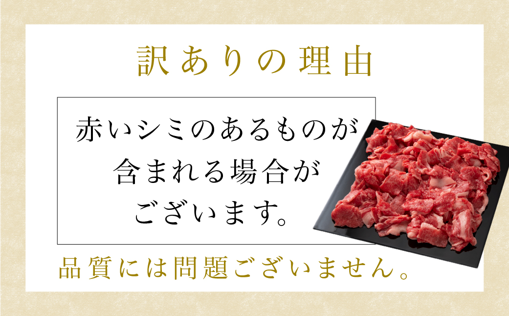 訳あり しゃぶしゃぶ 肉 肩ロース 400g 飛騨牛 牛肉 お肉 にく A5等級 ギフト 牛しゃぶ 冷凍 人気 お取り寄せ グルメ 美味しい 鍋 岐阜 高山 ながせ食品 TR3820