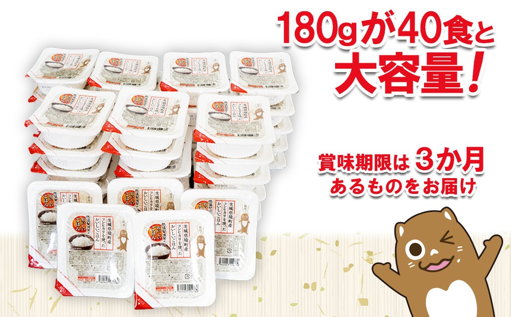 境町産こしひかり使用 低温製法米パックライス 180g×40個