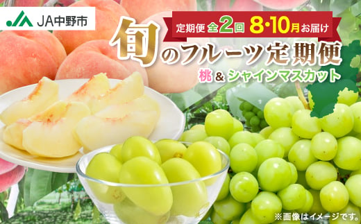 
                  【発送月固定定期便】中野市の糖度13度保証の桃2.1kg以上とシャインマスカット2房1kg以上全2回_ ぶどう 葡萄 桃 シャインマスカット 果物 くだもの フルーツ 長野 産地直送 人気 おすすめ 送料無料 セット 【4060200】
                