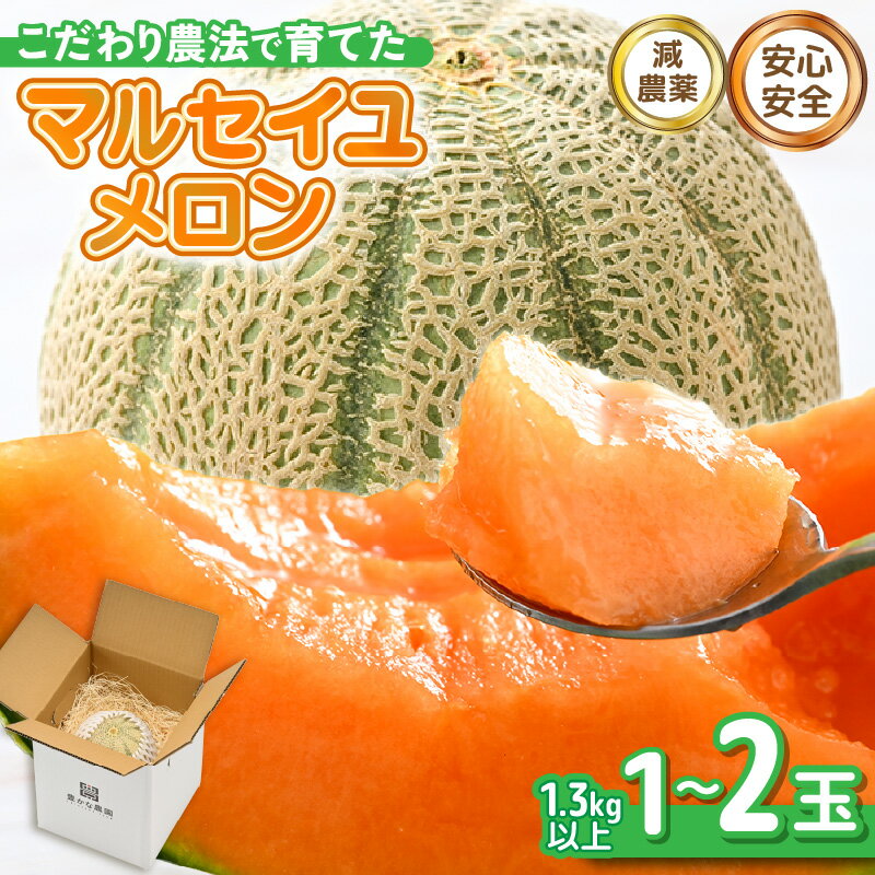 【ふるさと納税】【先行予約】 安心安全！減農薬！こだわり農法で育てたマルセイユメロン 【選べる内容量：1玉 / 2玉】 1玉あたり：1.3kg以上 【2026年6月中旬以降順次発送予定】 【メロン めろん 赤肉 フルーツ デザート 果物 くだもの 果実 糖度 甘い 産地直送 国産】