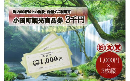 【ASOおぐに観光協会】小国町観光商品券3千円（1000円×3枚）
