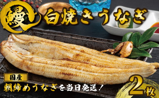 国産うなぎ 白焼き 2枚 約120g×2 うなぎ 鰻 白焼き 蒲焼 うな重 鰻丼 うな丼 ひつまぶし 土用の丑の日 土用丑 魚 海鮮 魚介類 肉 肝 レバー 冷蔵 おつまみ おかず 惣菜 酒 ビール 焼酎 日本酒 ウイスキー チューハイ お取り寄せ ギフト プレゼント 贈答 贈答用 贈り物 内祝い お中元 お歳暮 母の日 父の日 敬老の日 千葉県 銚子市 有限会社石毛川魚店