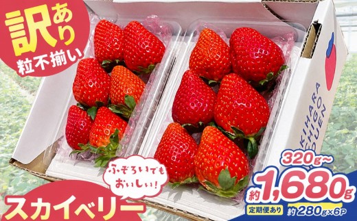 
                  訳あり 粒不揃い スカイベリー 320g～1,680g 定期便 1回～3回 | 栃木県 矢板市 澳原いちご農園
                