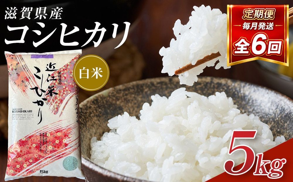 
                  【令和8年産 新米 先行予約】近江米コシヒカリ白米5kg×6回定期便※2026年9月～発送
                