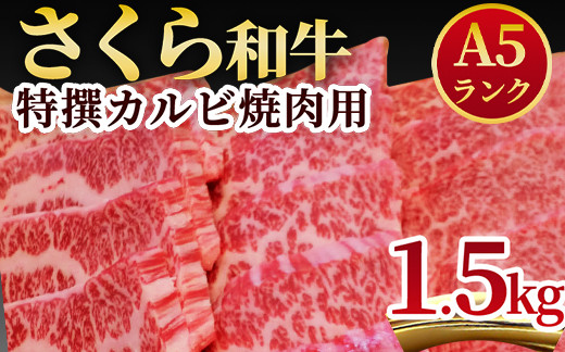 
A5さくら和牛特撰カルビ焼肉用1.5kg 肉 焼肉 国産牛 グルメ 送料無料
※着日指定不可
