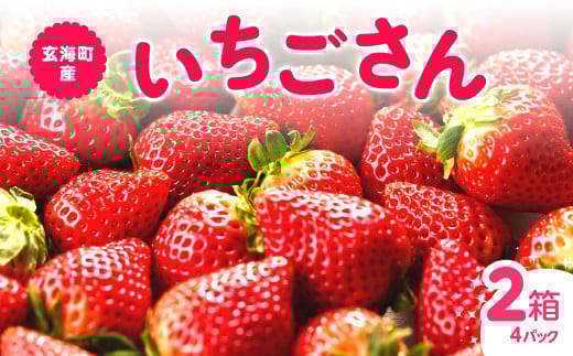 ★予約受付★平川いちご農園 佐賀県玄海町産「いちごさんDX」2026年1月～4月までに順次配送