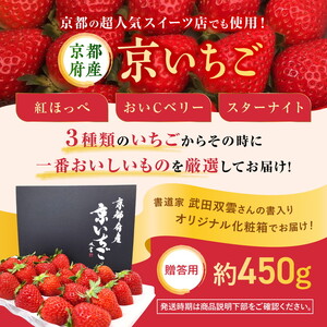 【数量限定】高級 完熟 京いちご 1箱 希少 お楽しみ【紅ほっぺ おいCベリー スターナイト から厳選してお届け】人気 小島農園 減農薬 果実 新鮮 フルーツ 旬 いちご 苺 有名 スイーツ店 御用達