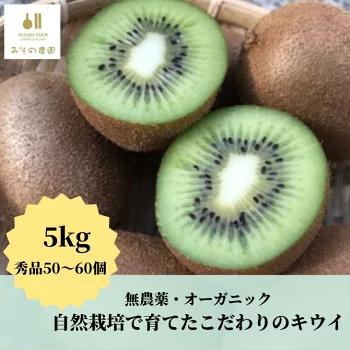 キウイ 5kg 国産 徳島県 みその農園 自然栽培 無農薬 ※離島への配送不可 ※2024年12月頃より順次発送予定