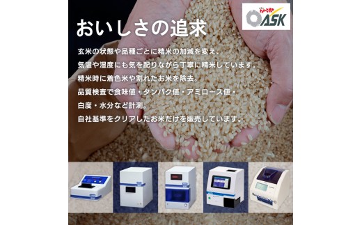 【定期便6回】令和8年産 山形産 特別栽培米 つや姫 5kg×6ヶ
