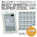 【ふるさと納税】BODY SHEETS SUPER COOL ハンディ10枚入り(60個)　お届け：※12月下旬にお申込みの商品は1月7日以降順次発送させていただきます。