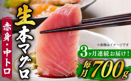 【全3回定期便】五島列島産養殖生本かみまぐろ 赤身 中トロ 計約700g【カミティバリュー】[RBP067] 本マグロ 本まぐろ 定期便 本マグロ 本まぐろ 定期便 本マグロ 本まぐろ 定期便