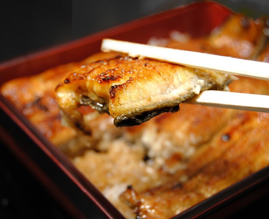 【定期便】隔月・全６回コース　蒲焼割烹うな繁　うなぎ蒲焼真空パック４人前