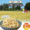 【ふるさと納税】簡単に炊ける 宮城県産 ひとめぼれ 発芽玄米1k [菅原商店 宮城県 加美町 44581384] 米 こめ コメ 玄米 発芽玄米 ご飯