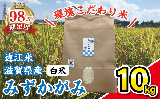 【新米】【令和7年産】環境こだわり米「みずかがみ」白米【10kg×1袋】【K074W】