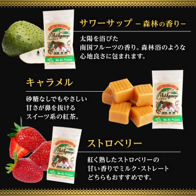 ふるさと納税 宮田村 【日本紅茶協会認定】おいしい紅茶の店が選ぶティーバッグ6種セット |  | 03
