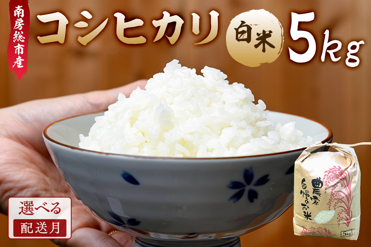 
            【配送月が選べる】南房総市産コシヒカリ5kg【2024年産】 mi0018-0012
          