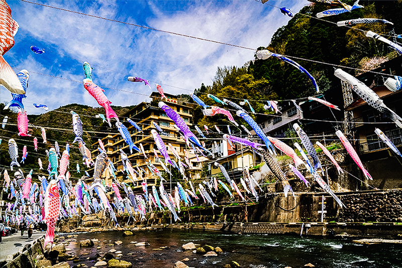 【令和7年度受付】名入れ鯉のぼり掲揚権（杖立温泉鯉のぼり祭）