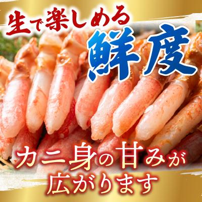 ふるさと納税 根室市 生食用本ズワイガニ爪下棒肉ポーション600g A-14236 |  | 02
