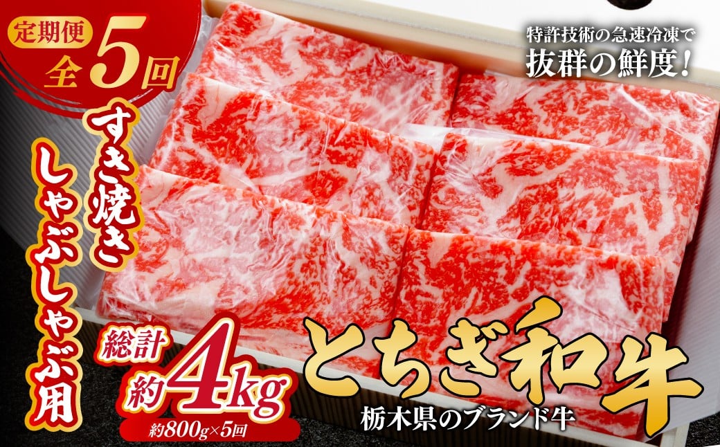 
            ＜定期便5回＞とちぎ和牛のすき焼き・しゃぶしゃぶ用 800g×5回 計約4kg【栃木県共通返礼品】 |  牛肉 肉 お肉 すき焼き しゃぶしゃぶ ロース リブロース 肩ロース 産地直送 国産 国産牛 和牛 赤身 霜降り 希少 旨味 旨み 熟成 急速冷凍 コトラミートカルチャ 栃木県 茂木町
          