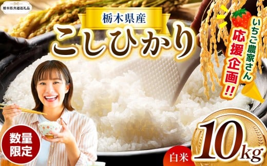 【栃木県共通返礼品】数量 限定  訳あり 令和7年度 栃木県産 コシヒカリ 約 10kg | 数量限定 こしひかり  精米 白米 米 ごはん おいしい  密閉パック ふるさと納税 那珂川町 栃木県