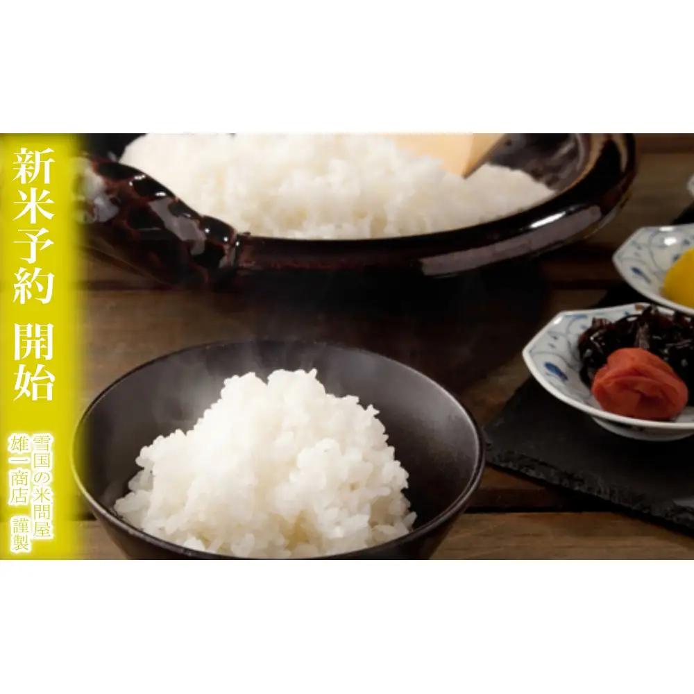 【令和8年産　新米予約】定期便★12ヶ月【無洗米】5kg南魚沼しおざわ産コシヒカリ【定期便 銘柄米 ブランド米 無洗米 こしひかり コシヒカリ 魚沼産 新潟米 ごはん】【2026年10月上旬から1ヶ月