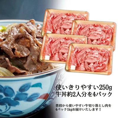 飛騨牛切り落とし（250ｇ×4）【0016-019】