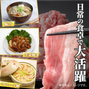 K-618-B 鹿児島県産豚切り落とし 真空パック250g×10P(計2.5kg)【ハピネス】霧島市 肉 豚肉 豚 精肉 鹿児島県産 切り落とし セット 小分け 冷凍