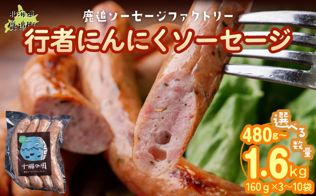 
                  【選べる容量】行者にんにく入りソーセージ160g （× 3 / 5 / 10） 【 ふるさと納税 人気 おすすめ ランキング 定期便 ソーセージ 行者ニンニク 国産豚肉 北海道 十勝 鹿追町 送料無料 】 SKD025-v
                