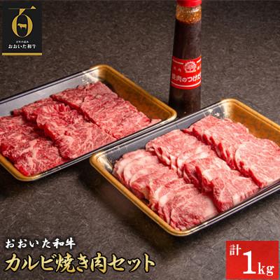 ふるさと納税 中津市 おおいた和牛カルビ焼き肉セット【1kg】つけダレ付(中津市)