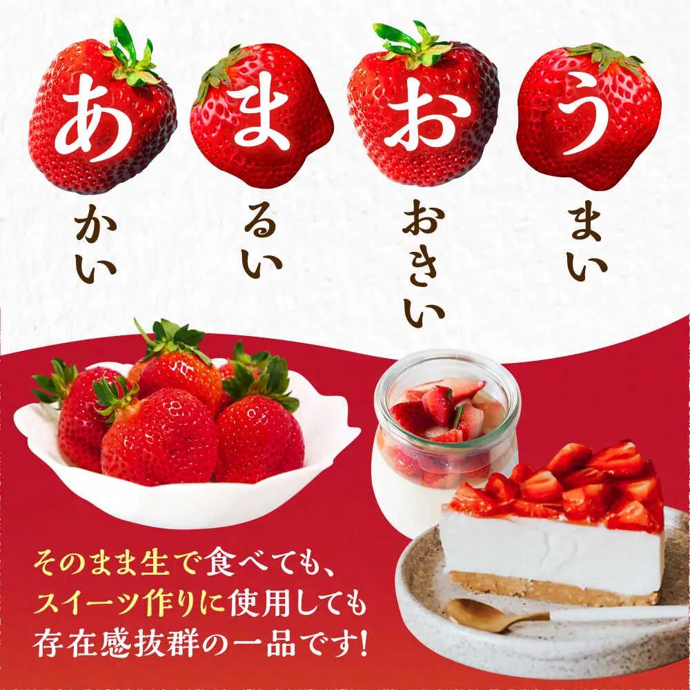 【先行予約】【1月発送】農家直送 あまおう 厳選デラックスG 1080g(270g以上×4P)土耕栽培 VAB003 果物 あまおう