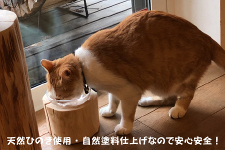 小林産ひのきを使ったペット用フードディッシュM（ヒノキ 愛犬 愛猫 ペット 木製 ボウル付き）