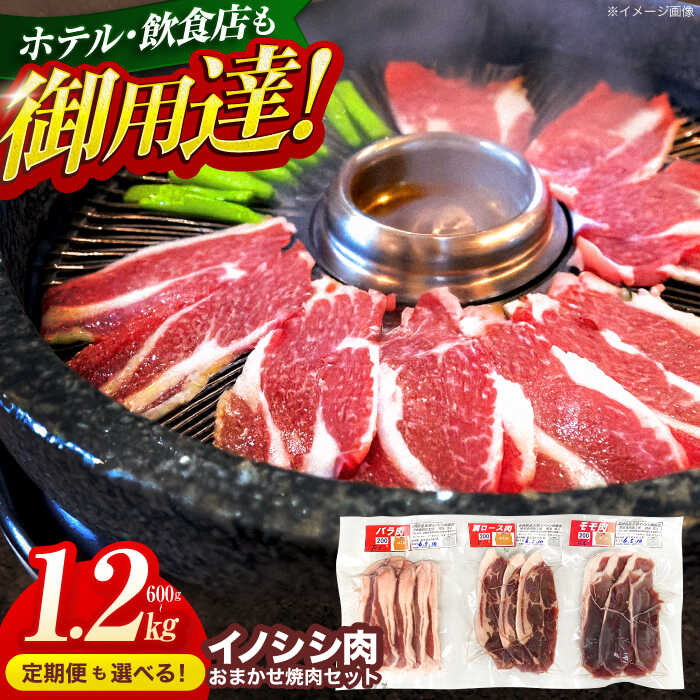【ふるさと納税】【容量・発送回数が選べる】ジビエ 天然 イノシシ肉 おまかせ焼肉セット 600~1.2kg （ロース・モモ・バラ）【照本食肉加工所】[OAJ006] / 猪 いのしし イノシシ 猪肉 お肉 焼き肉 BBQ 冷凍 九州産 長崎県産 バーベキュー じびえ 容量が選べる