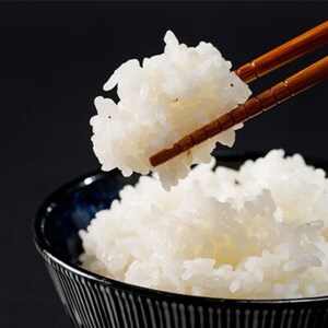 【玄米5kg】紗奈～はまだ農園 　玄米(コシヒカリ)【1600210】