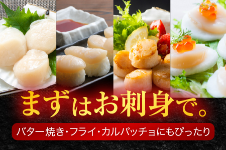 ＼漁業者応援品／お刺身用ほたて貝柱500g A-11002
