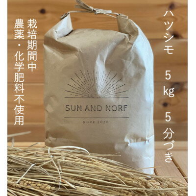 【ふるさと納税】【令和7年産】初霜(源種)5分づき5kg　(栽培期間中農薬・化学肥料不使用)【1721465】