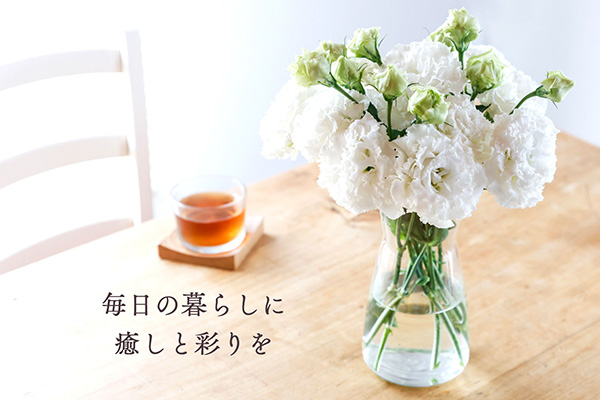 【R8.9月下旬発送】トルコギキョウ 10本 切り花 生産者おまかせ 2~3色ミックス トルコキキョウ 八重咲き フリンジ咲き 生花 花束 冷蔵便 国産 庄内町フラワーラボ 10本