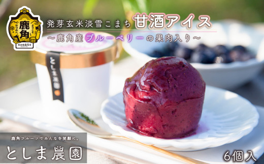発芽玄米淡雪こまち甘酒アイス「ブルーベリー」6個入【としま農園】 新鮮 旬 県産ブルーベリー 国産ブルーベリー お中元 お歳暮 お取り寄せ 母の日 父の日 グルメ ギフト 故郷 秋田 あきた 鹿角 送料無料