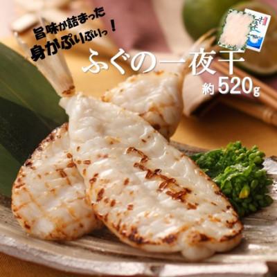 ふるさと納税 大田市 魚本来の旨味を味わえる!ふぐ一夜干　約520g(U50)