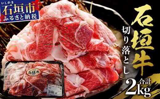 石垣牛・切り落とし ２kg（１kg×２）冷凍便【 沖縄県 石垣市 牛肉 お肉 切落し 小間切れ 牛小間切れ 】 SI-89